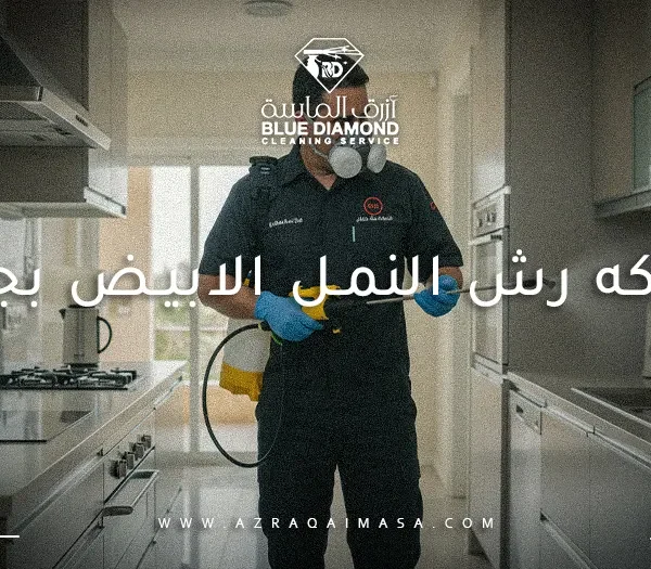 شركه رش النمل الابيض بجده