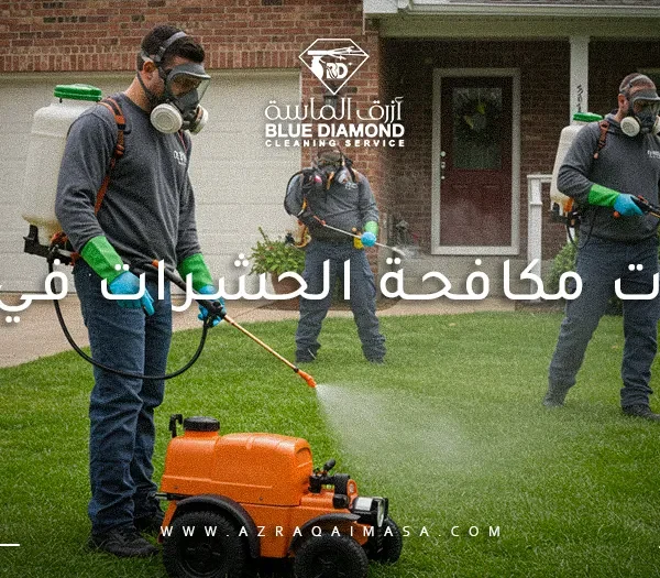 شركات مكافحة الحشرات في جدة