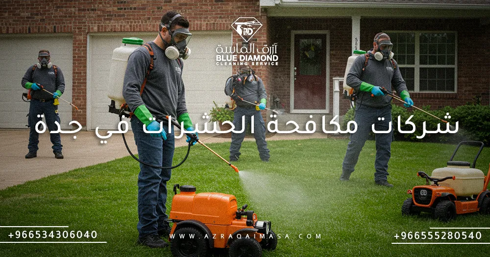 افضل شركات مكافحة الحشرات في جدة و 5 اسباب للإستعانه بها 1 شركات مكافحة الحشرات في جدة