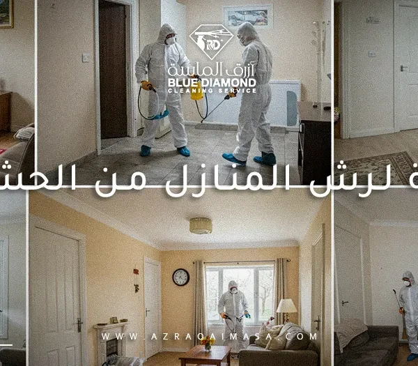 شركة لرش المنازل من الحشرات