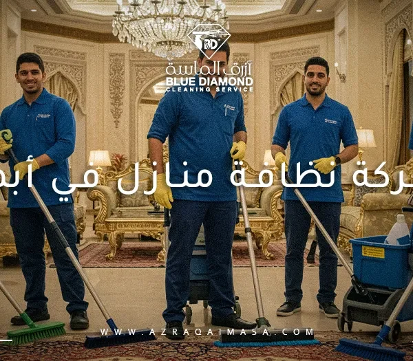 شركة نظافة منازل في أبها