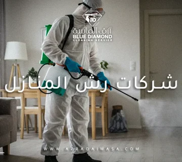 شركات رش المنازل