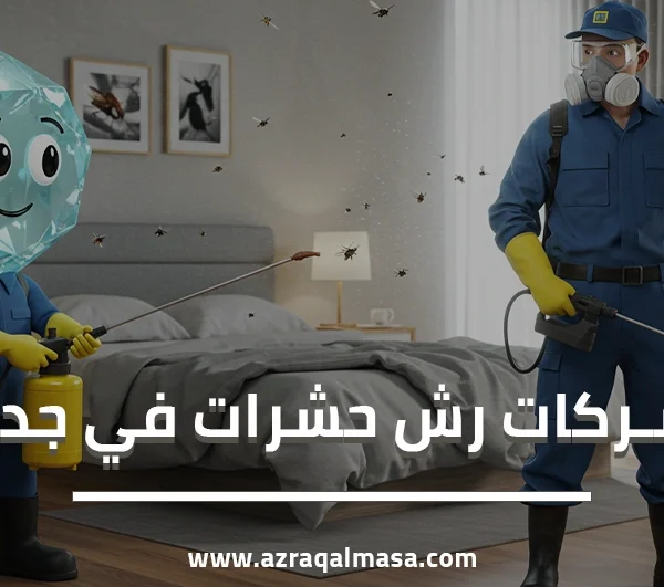 شركات رش حشرات في جدة