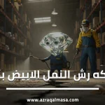 شركه رش النمل الابيض بأبها