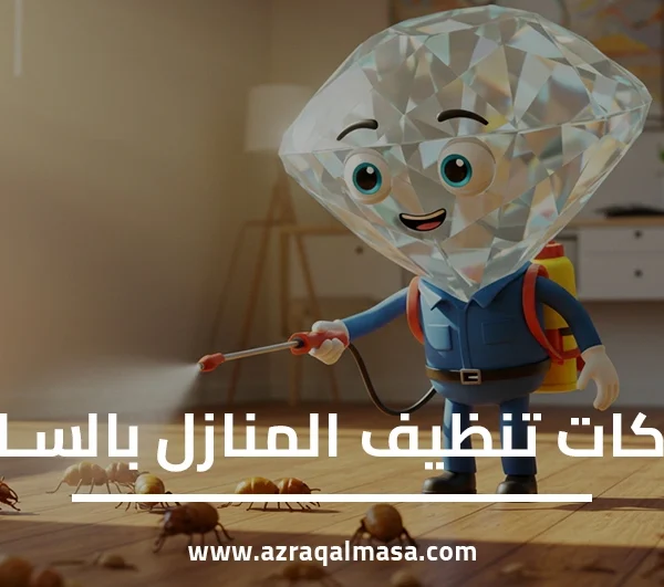 شركات تنظيف المنازل بالساعه