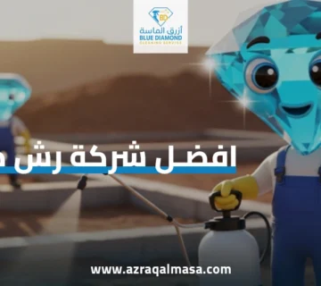 افضل شركة رش دفان بابها