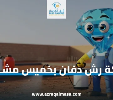 شركة رش دفان بخميس مشيط