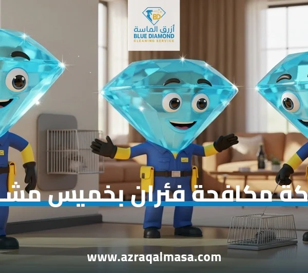 شركة مكافحة فئران بخميس مشيط